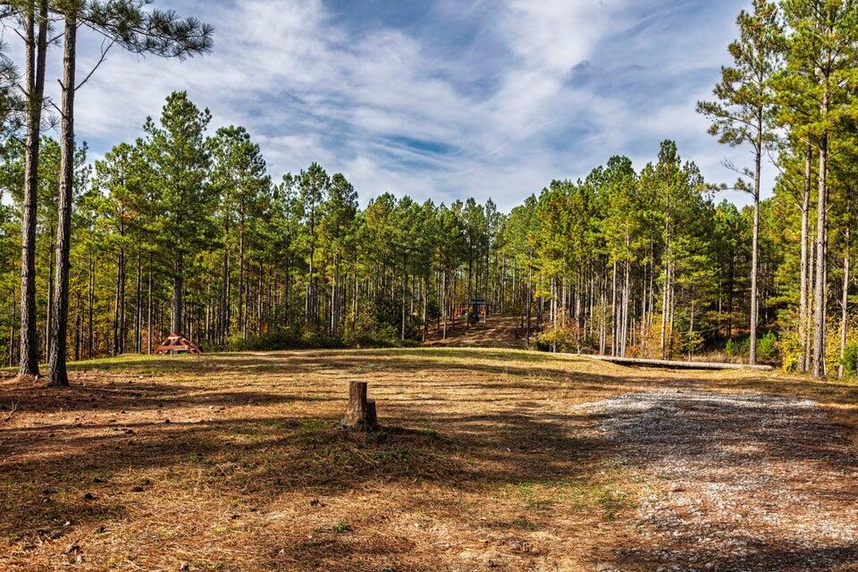 28.74-ac Green Pond Road Decatur, TN 37322 - Photo 5 of 46 5
