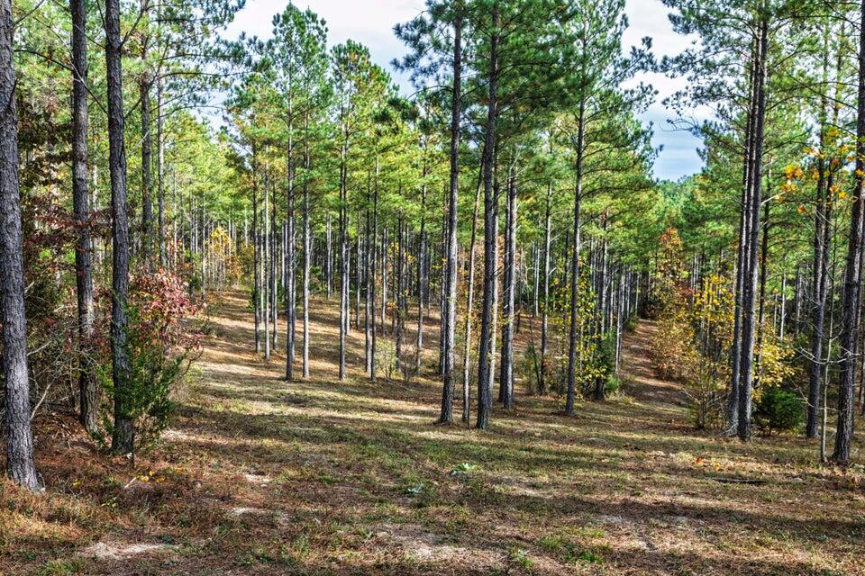 28.74-ac Green Pond Road Decatur, TN 37322 - Photo 8 of 46 8