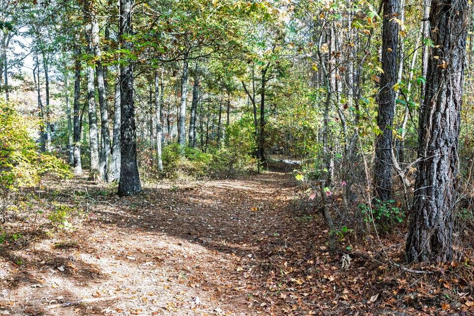 28.74-ac Green Pond Road Decatur, TN 37322 - Photo 9 of 46 9