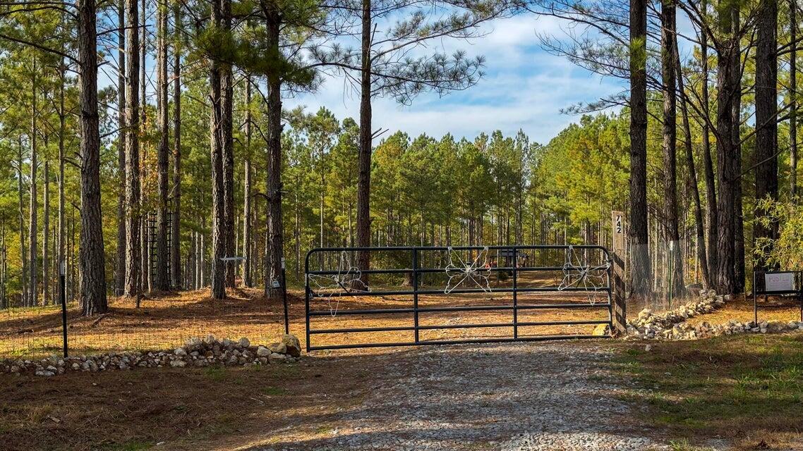 28.74-ac Green Pond Road Decatur, TN 37322 - Photo 10 of 46 10