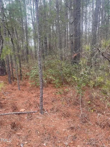 $59,999 | 0 Bumpy Lane, Sanford, NC 27332