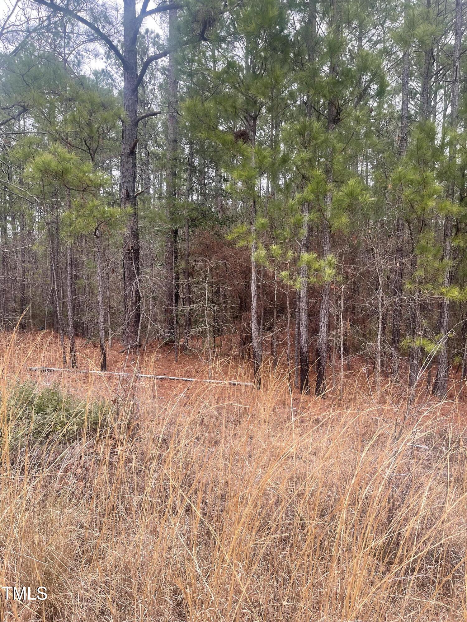 0 Bumpy Lane Sanford, NC 27332 - Photo 4 of 6 Pic 4 BL