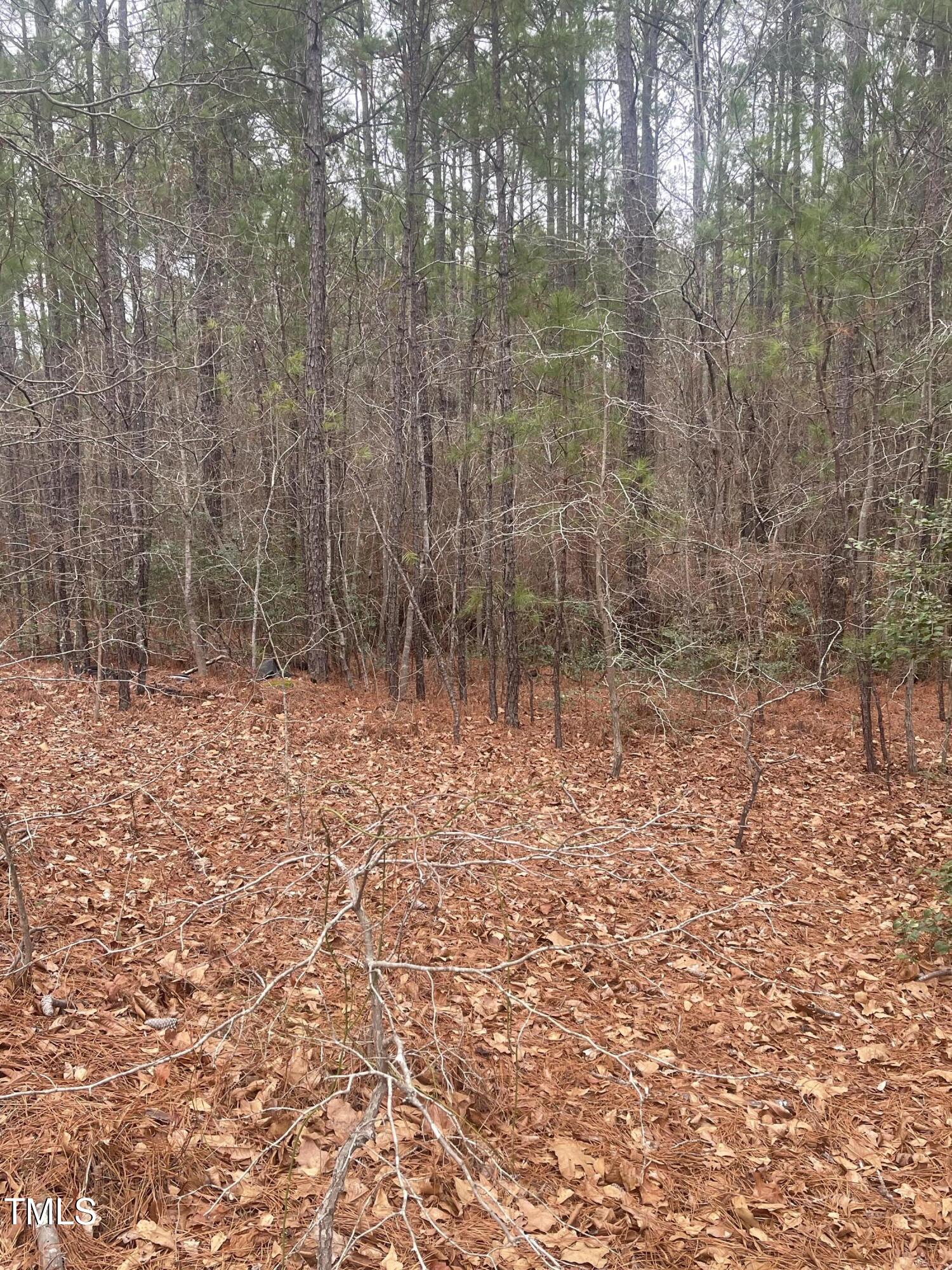 0 Bumpy Lane Sanford, NC 27332 - Photo 5 of 6 Pic 5 BL