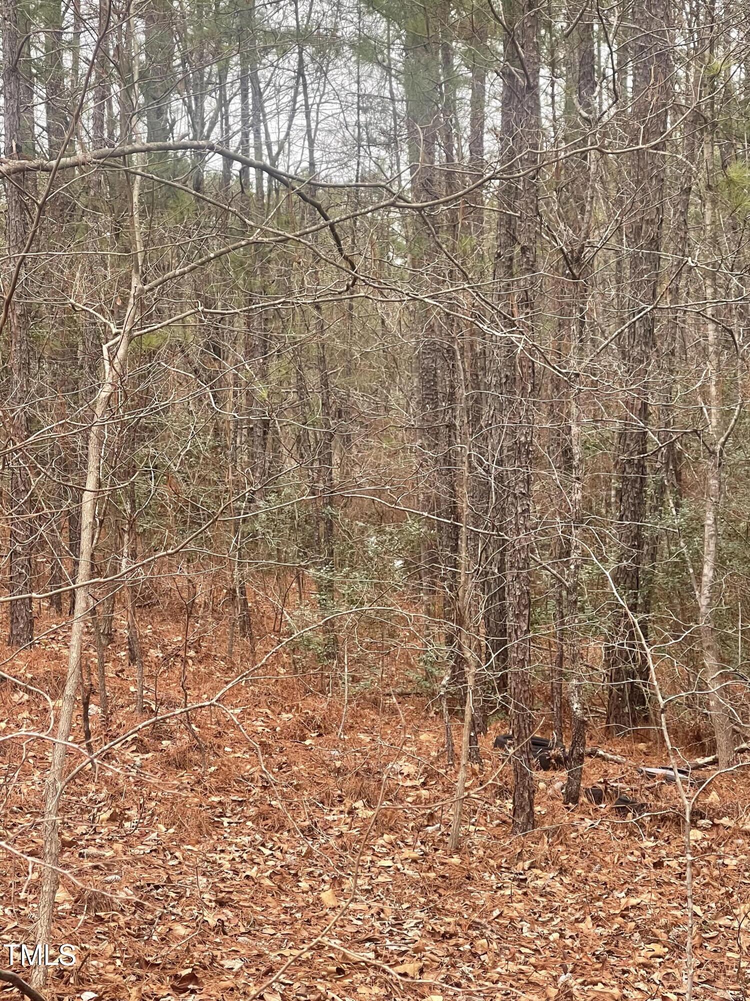 0 Bumpy Lane Sanford, NC 27332 - Photo 6 of 6 Pic 6 BL