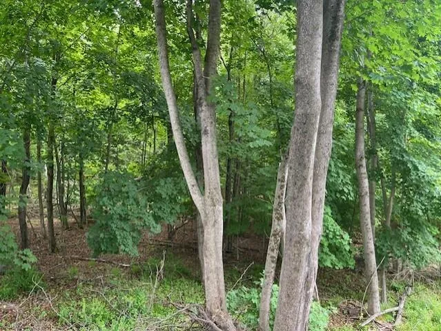 $449,000 | Undisclosed Address, Norway, ME 04268