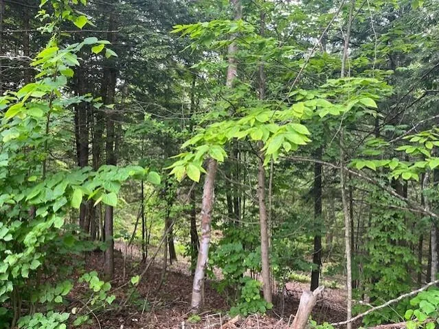 $449,000 | Undisclosed Address, Norway, ME 04268