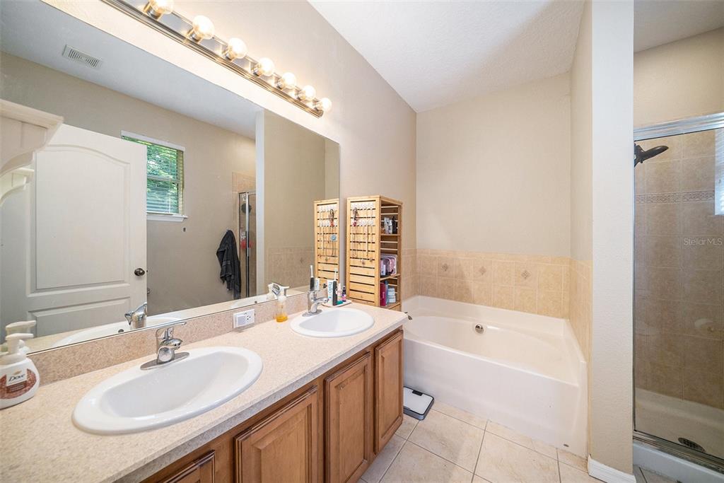 12045 Colony Lakes Boulevard New Port Richey, FL 34654 - Photo 12 of 22 a bathroom with a bath tub sink and mirror