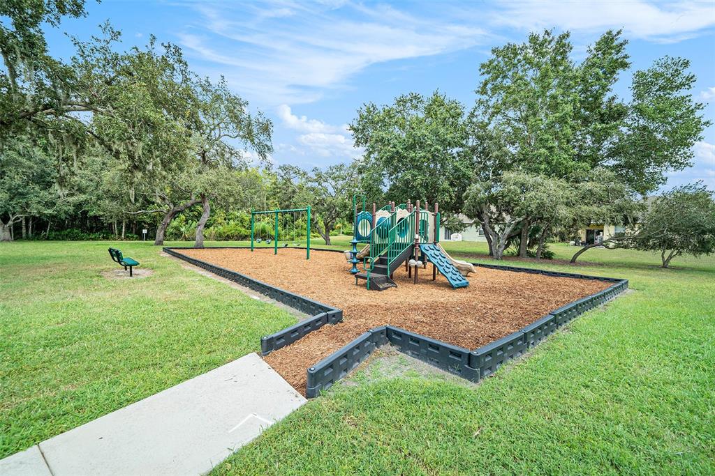 12045 Colony Lakes Boulevard New Port Richey, FL 34654 - Photo 22 of 22 a view of a backyard with green space