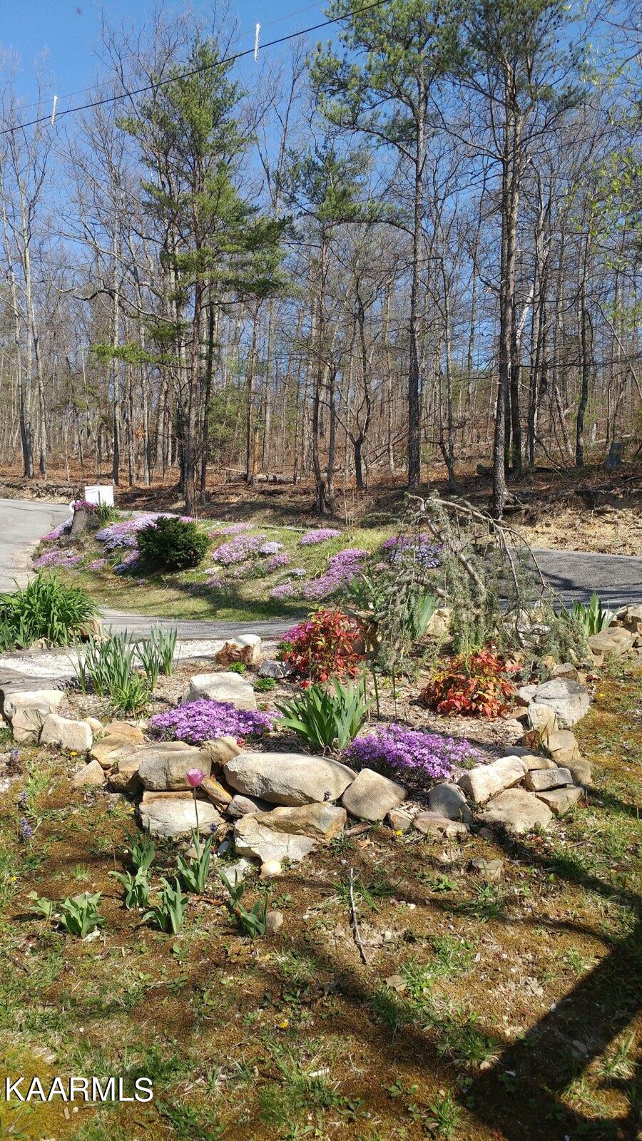 2746 East End Road Pigeon Forge, TN 37876 - Photo 45 of 48 Owner Pic 2