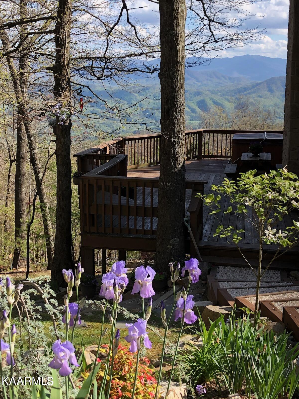 2746 East End Road Pigeon Forge, TN 37876 - Photo 47 of 48 Owner Pic 4