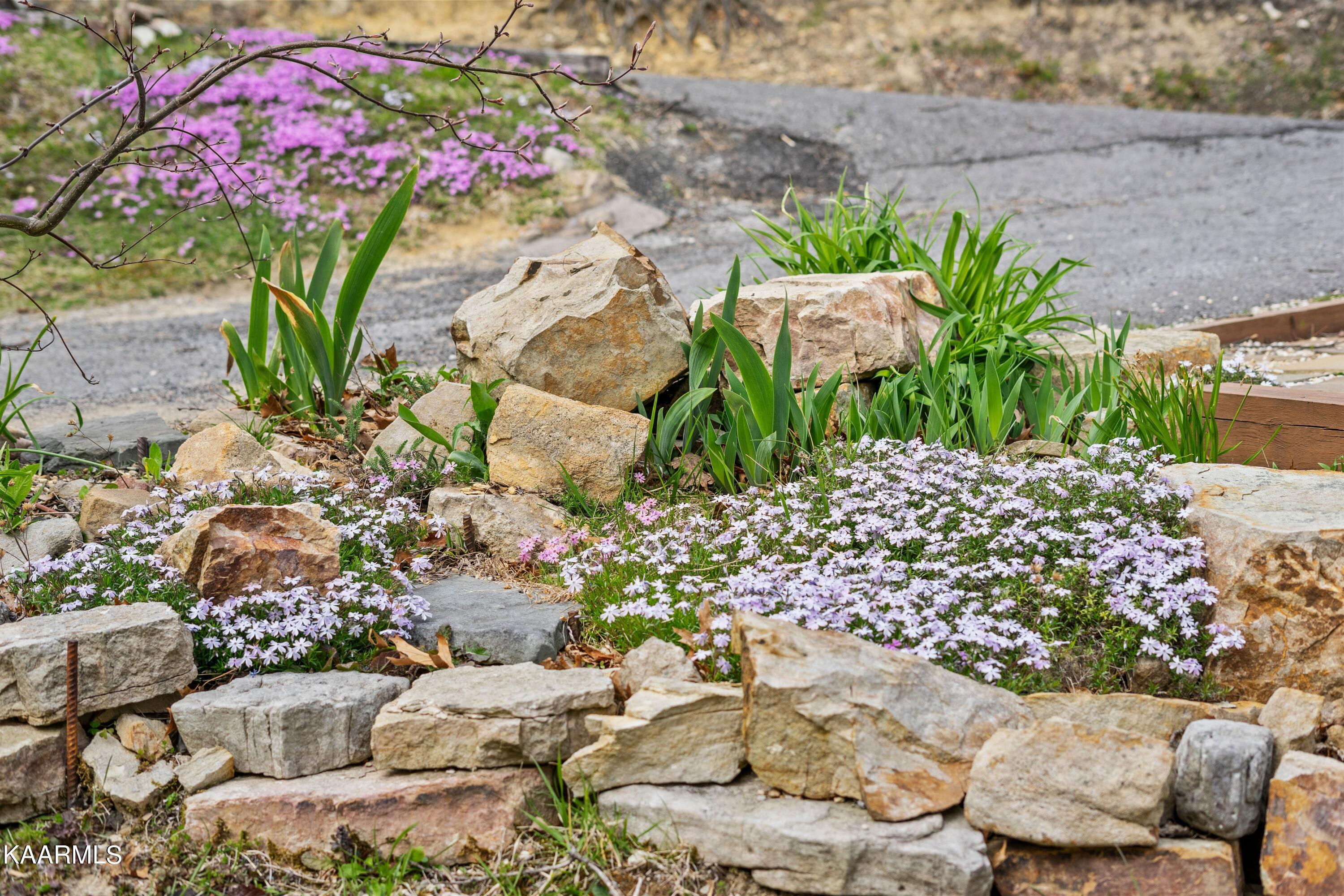2746 East End Road Pigeon Forge, TN 37876 - Photo 5 of 48 Gardens 3