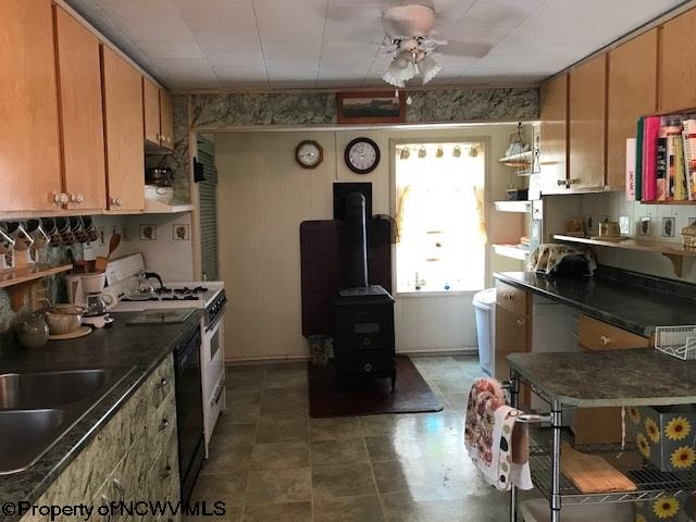 245 Douglas Road Thomas, WV 26292 - Photo 3 of 20 Gallery Image 3
