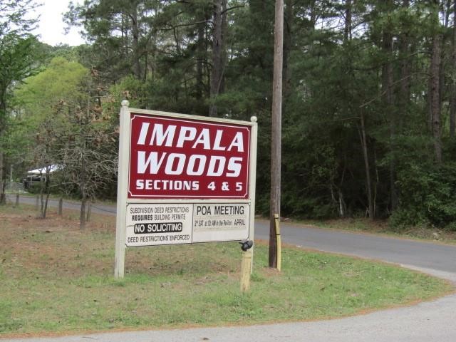 Lot 22 Gnu Street Onalaska, TX 77360 - Photo 1 of 30