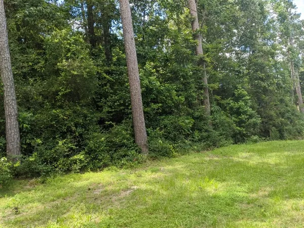 $13,522 | Lot 22 Gnu Street, Onalaska, TX 77360