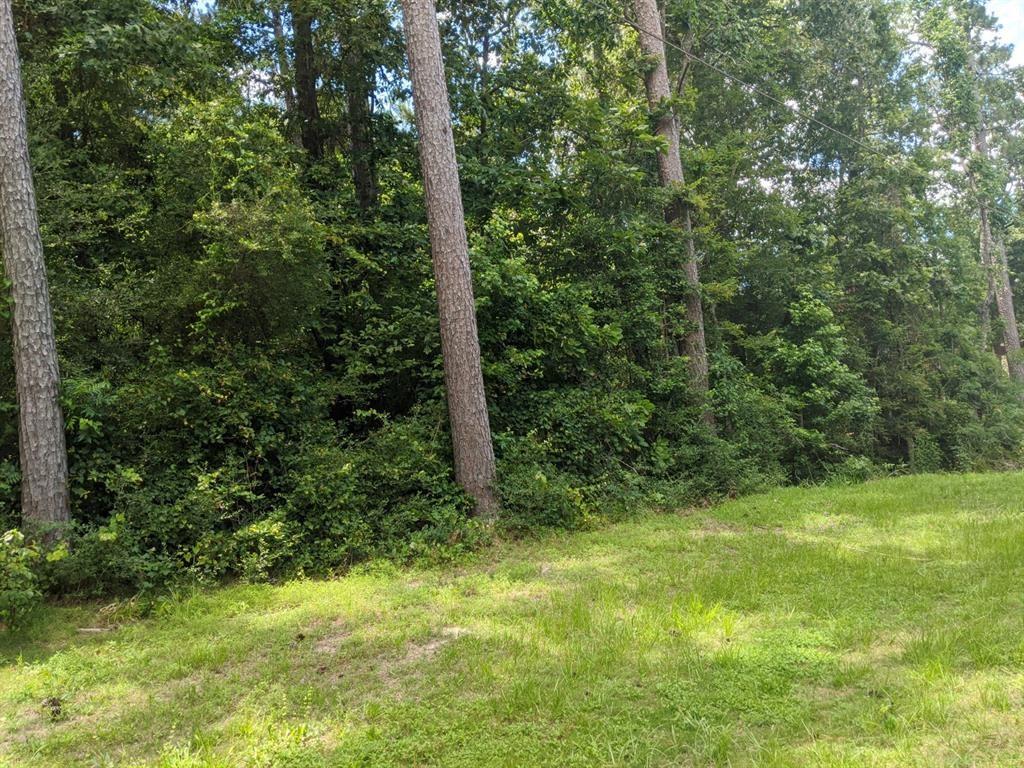 Lot 22 Gnu Street Onalaska, TX 77360 - Photo 22 of 30