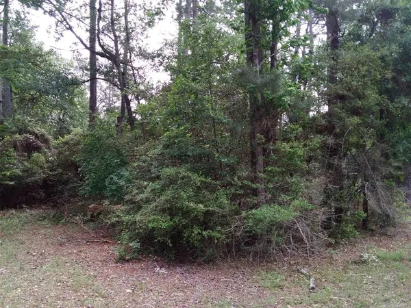 $13,522 | Lot 22 Gnu Street, Onalaska, TX 77360