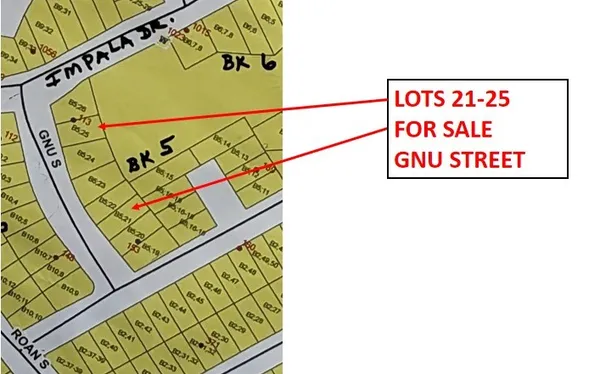 $13,522 | Lot 22 Gnu Street, Onalaska, TX 77360