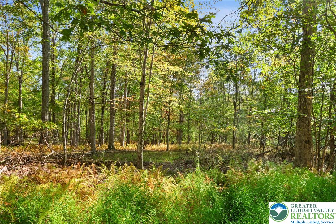 Lot 17 Spring Run Lane Cresco, PA 18326 - Photo 1 of 7