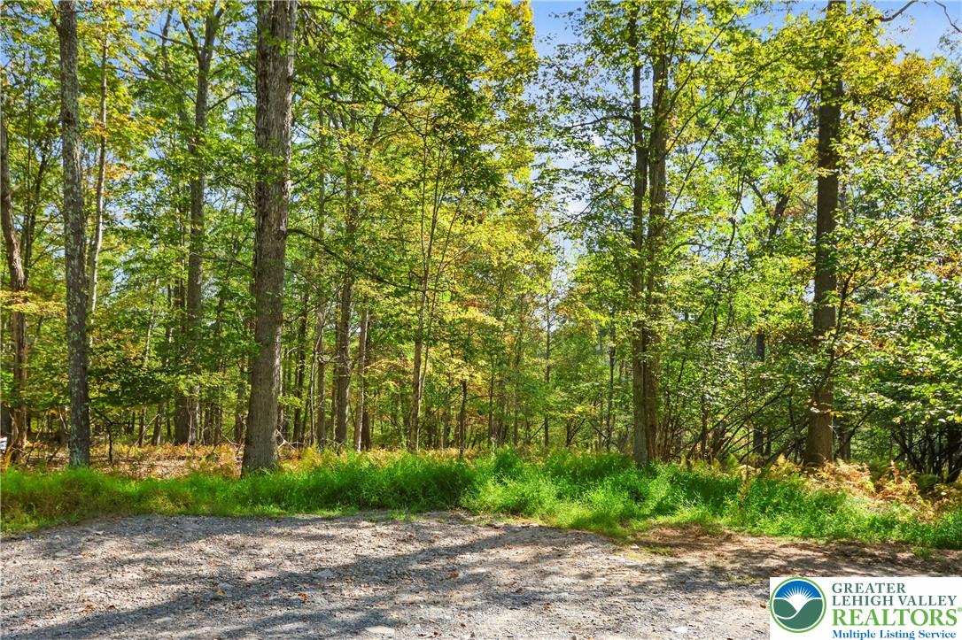 Lot 17 Spring Run Lane Cresco, PA 18326 - Photo 2 of 7