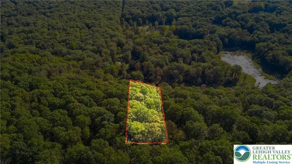 a view of a back yard