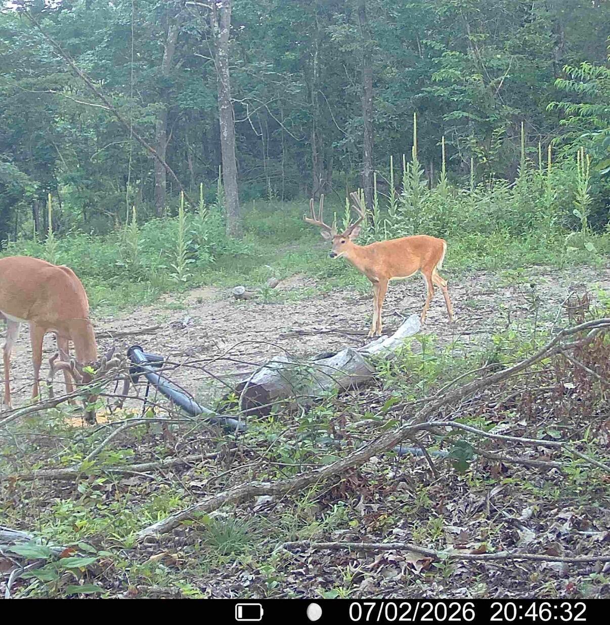 0 Hinkley Hollow Road Portsmouth, OH 45662 - Photo 2 of 48 Copy of 2