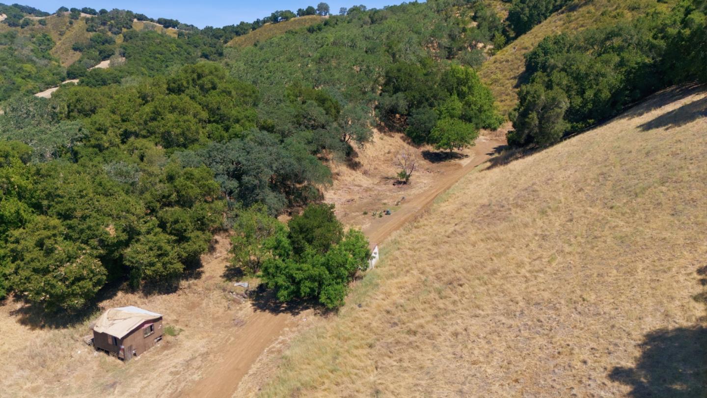 0 Casa Loma Road Morgan Hill, CA 95037 - Photo 11 of 13 a view of a dry yard with lots of trees