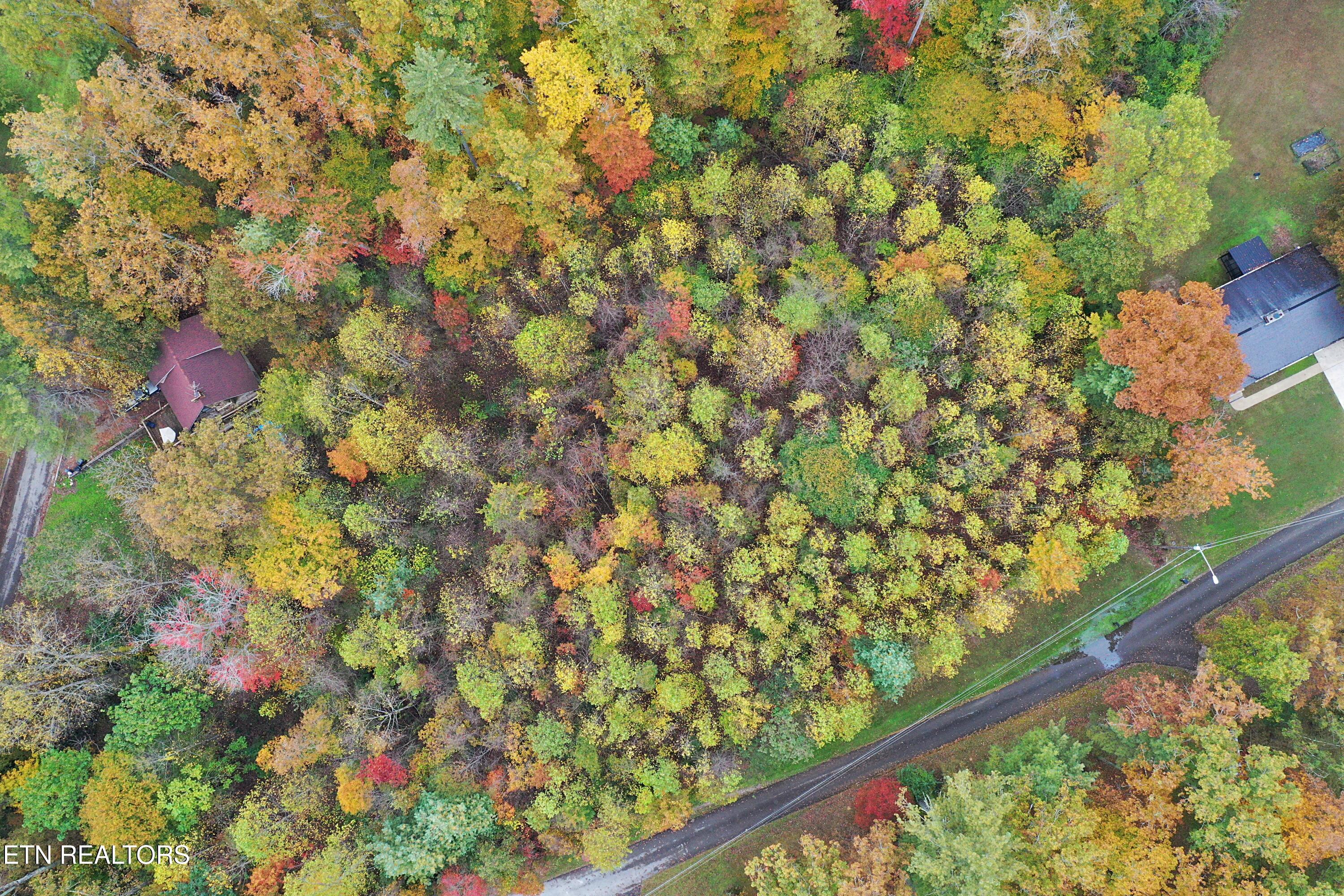 Hilltop Drive Oneida, TN 37841 - Photo 2 of 11 DJI_0126