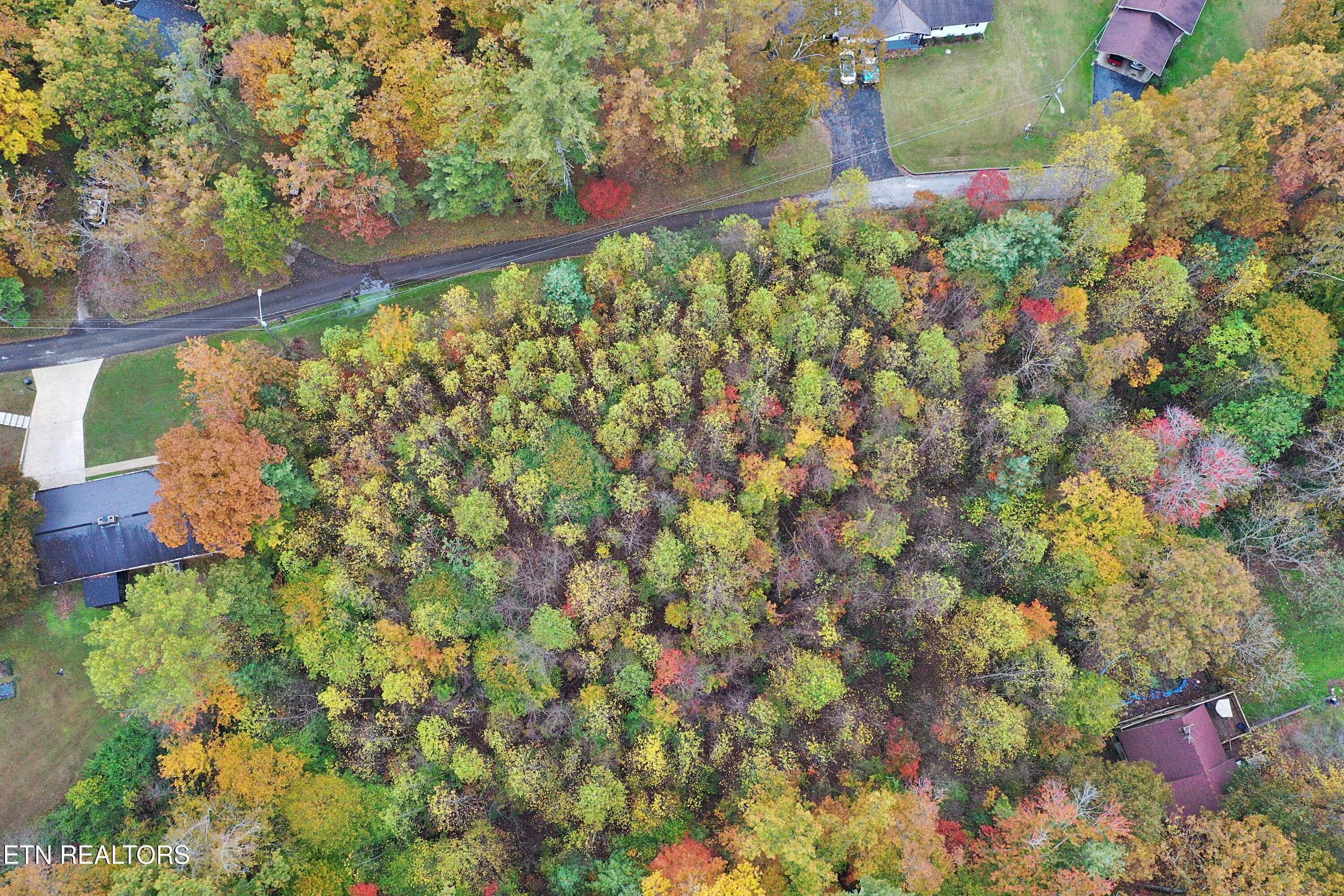 Hilltop Drive Oneida, TN 37841 - Photo 3 of 11 DJI_0123