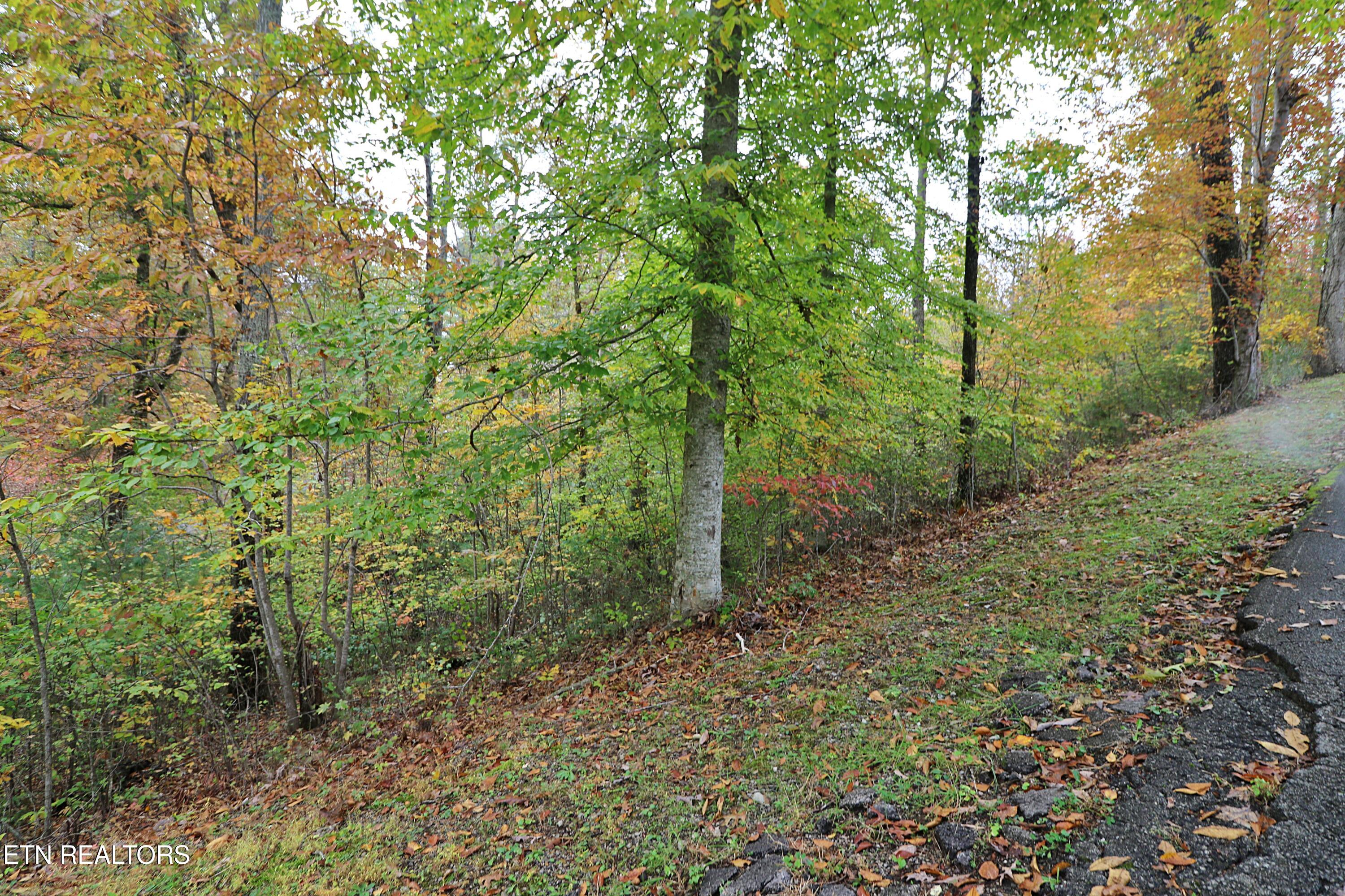 Hilltop Drive Oneida, TN 37841 - Photo 4 of 11 094A2646