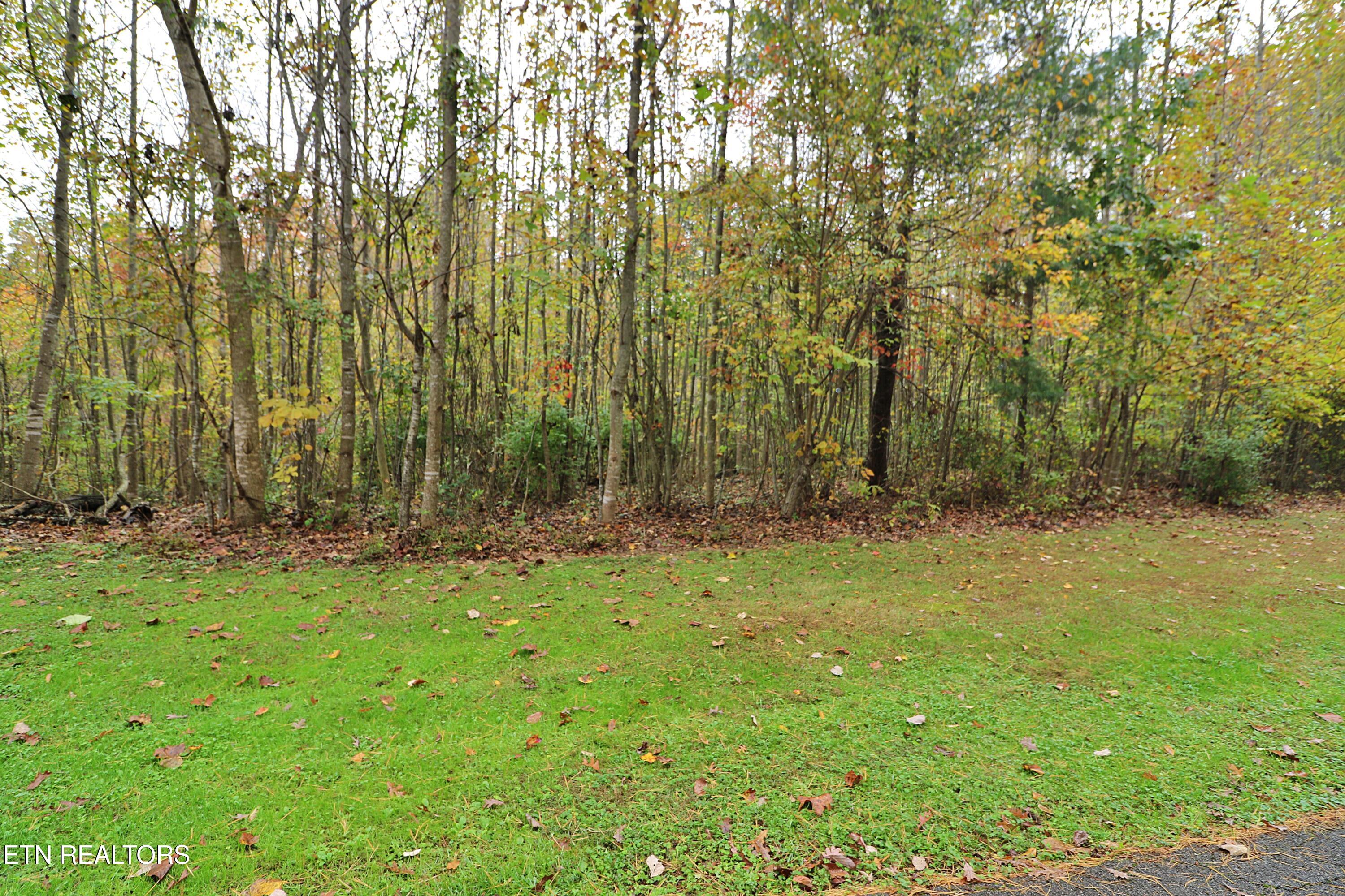 Hilltop Drive Oneida, TN 37841 - Photo 6 of 11 094A2643