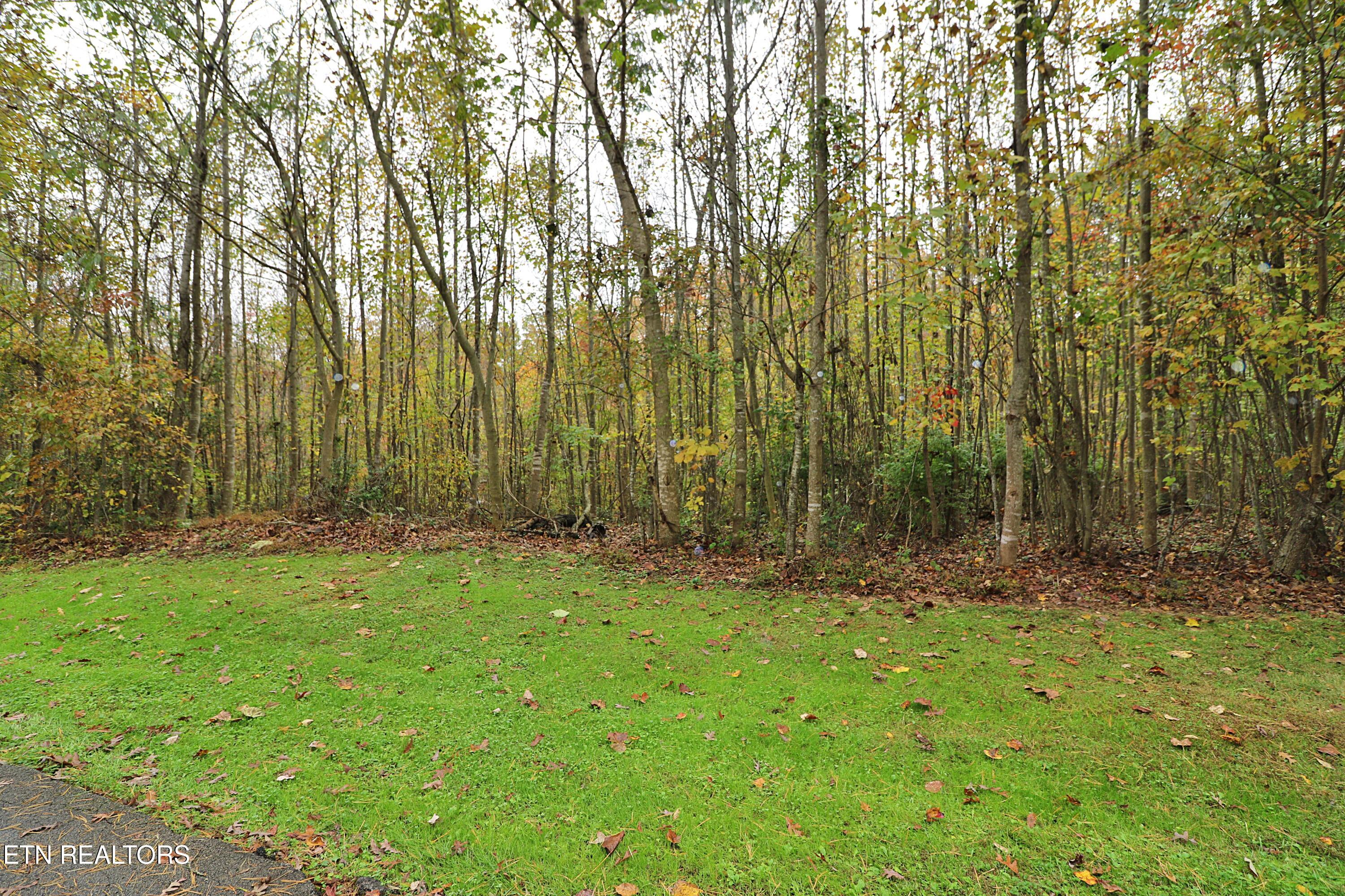 Hilltop Drive Oneida, TN 37841 - Photo 7 of 11 094A2642