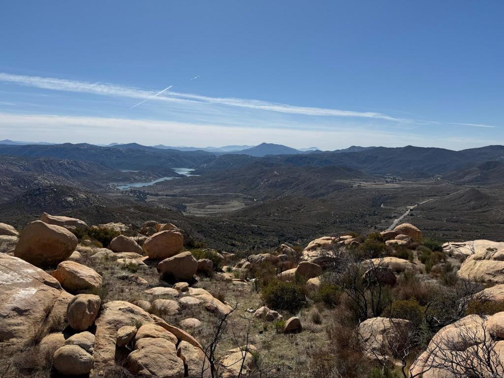 a view of a lot of trees and mountains