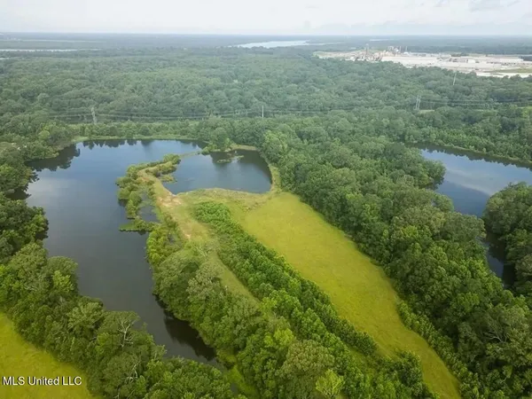 $1,550,000 | 299 West Mt Pleasant Zachary Road, Zachary, LA 70791
