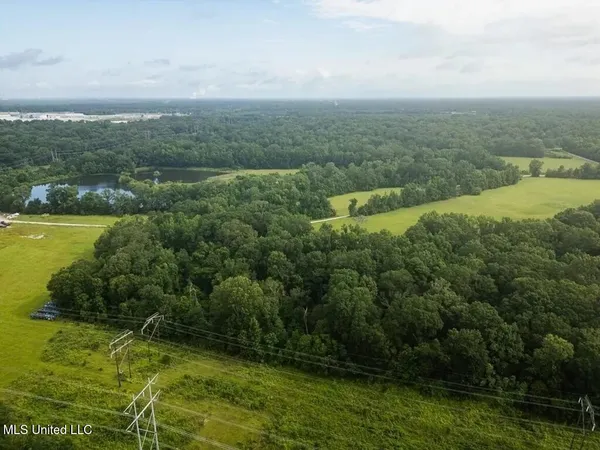 $1,550,000 | 299 West Mt Pleasant Zachary Road, Zachary, LA 70791