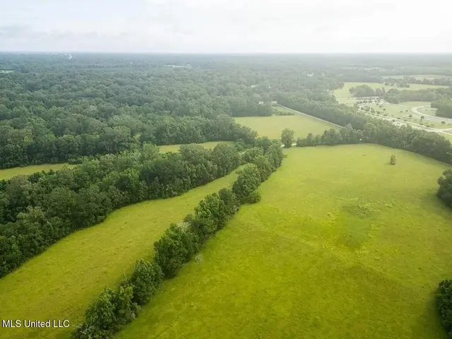 $1,550,000 | 299 West Mt Pleasant Zachary Road, Zachary, LA 70791