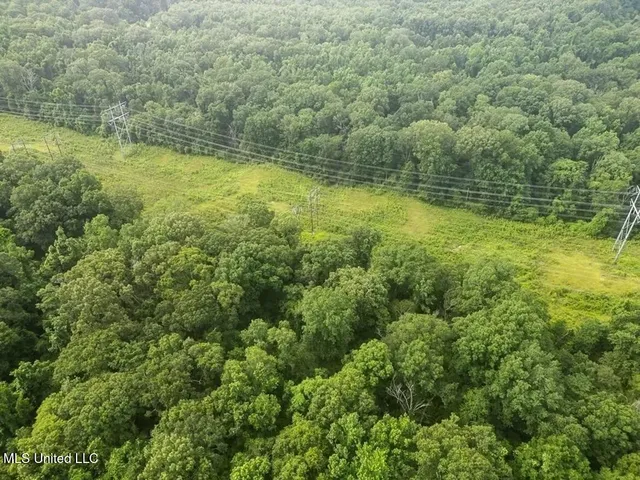 $1,550,000 | 299 West Mt Pleasant Zachary Road, Zachary, LA 70791