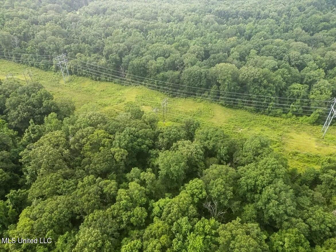 299 West Mt Pleasant Zachary Road Zachary, LA 70791 - Photo 13 of 33 1-5859662756