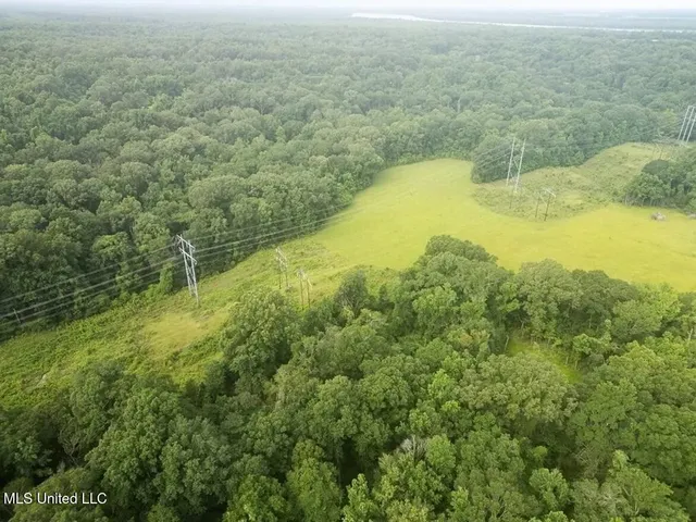 $1,550,000 | 299 West Mt Pleasant Zachary Road, Zachary, LA 70791