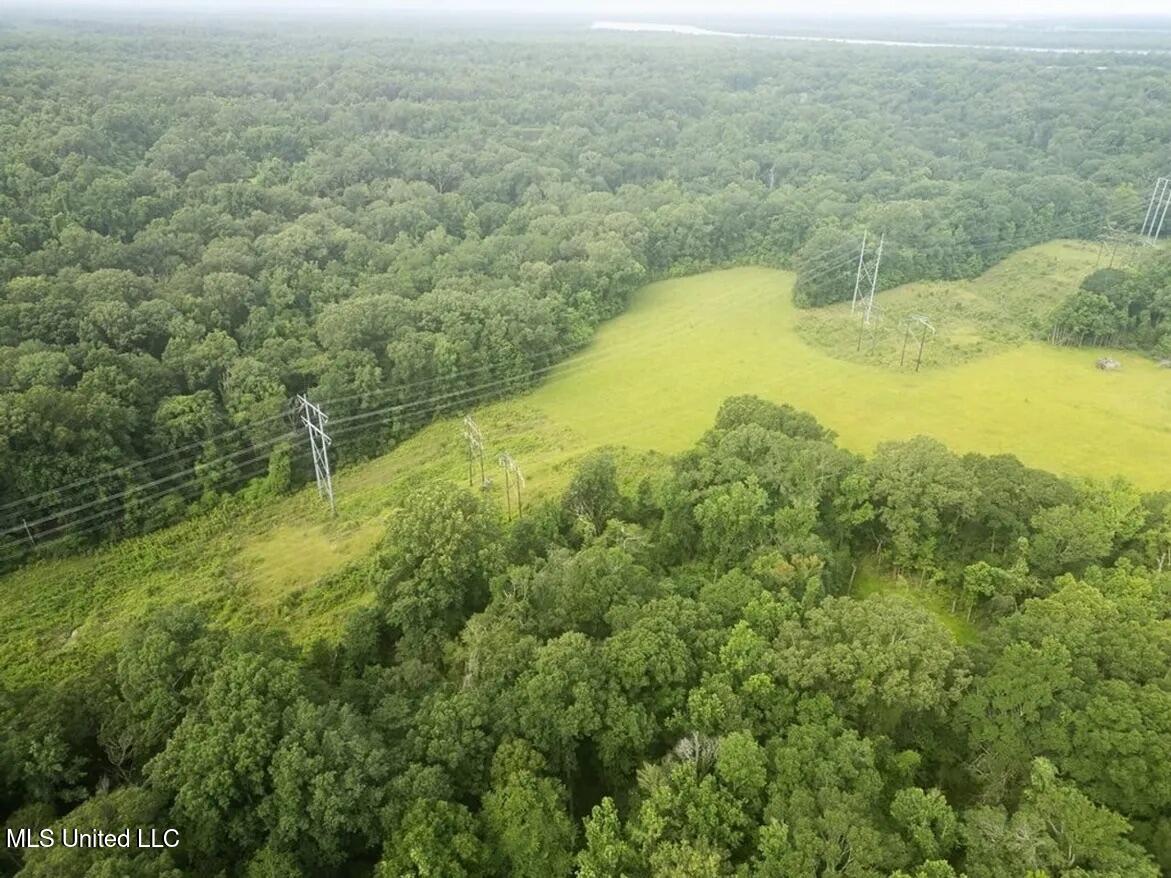 299 West Mt Pleasant Zachary Road Zachary, LA 70791 - Photo 14 of 33 1-5859662760