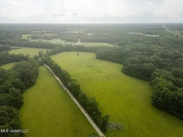 $1,550,000 | 299 West Mt Pleasant Zachary Road, Zachary, LA 70791