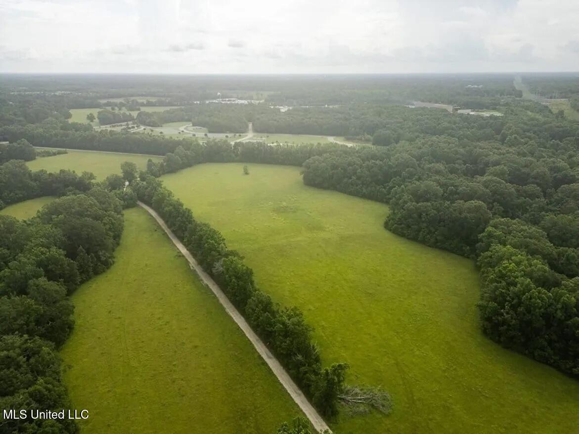 299 West Mt Pleasant Zachary Road Zachary, LA 70791 - Photo 15 of 33 1-5859662773