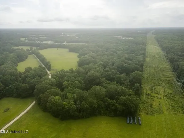 $1,550,000 | 299 West Mt Pleasant Zachary Road, Zachary, LA 70791