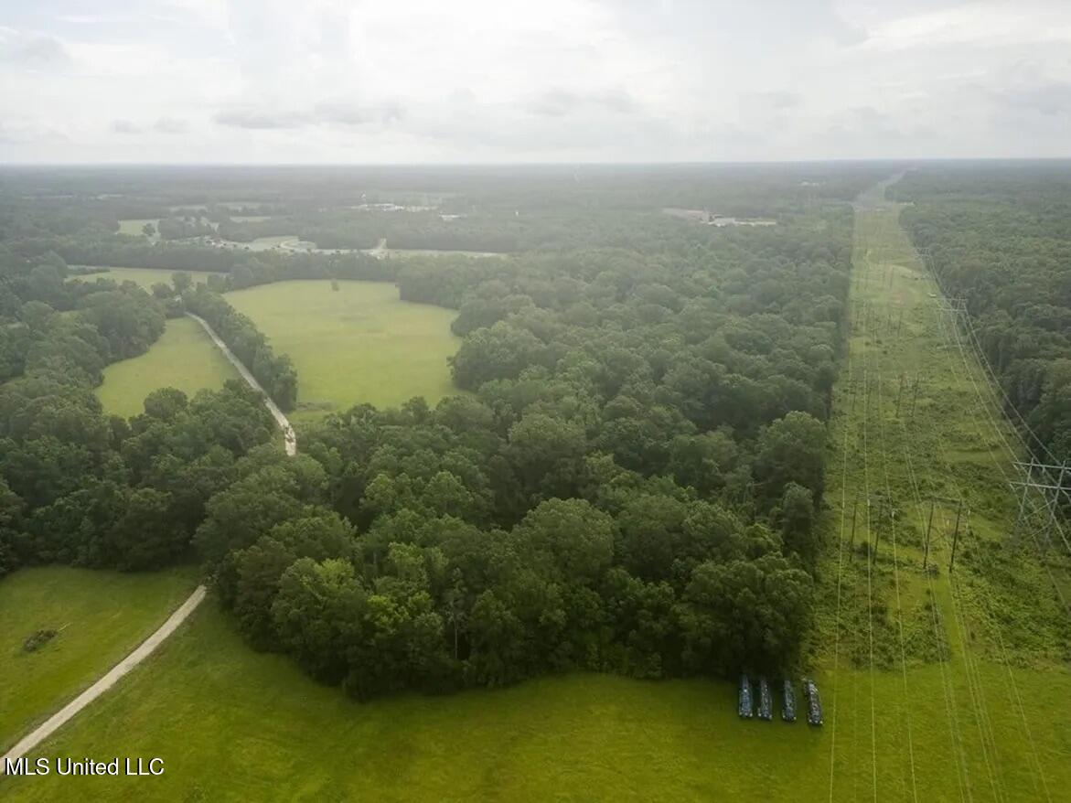 299 West Mt Pleasant Zachary Road Zachary, LA 70791 - Photo 16 of 33 1-5859662779