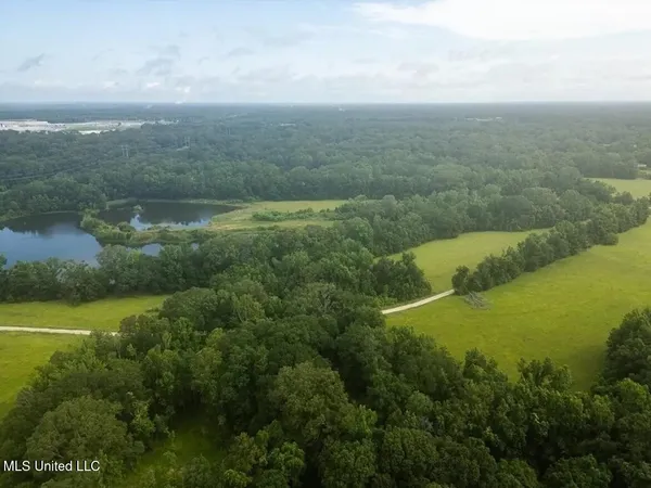 $1,550,000 | 299 West Mt Pleasant Zachary Road, Zachary, LA 70791