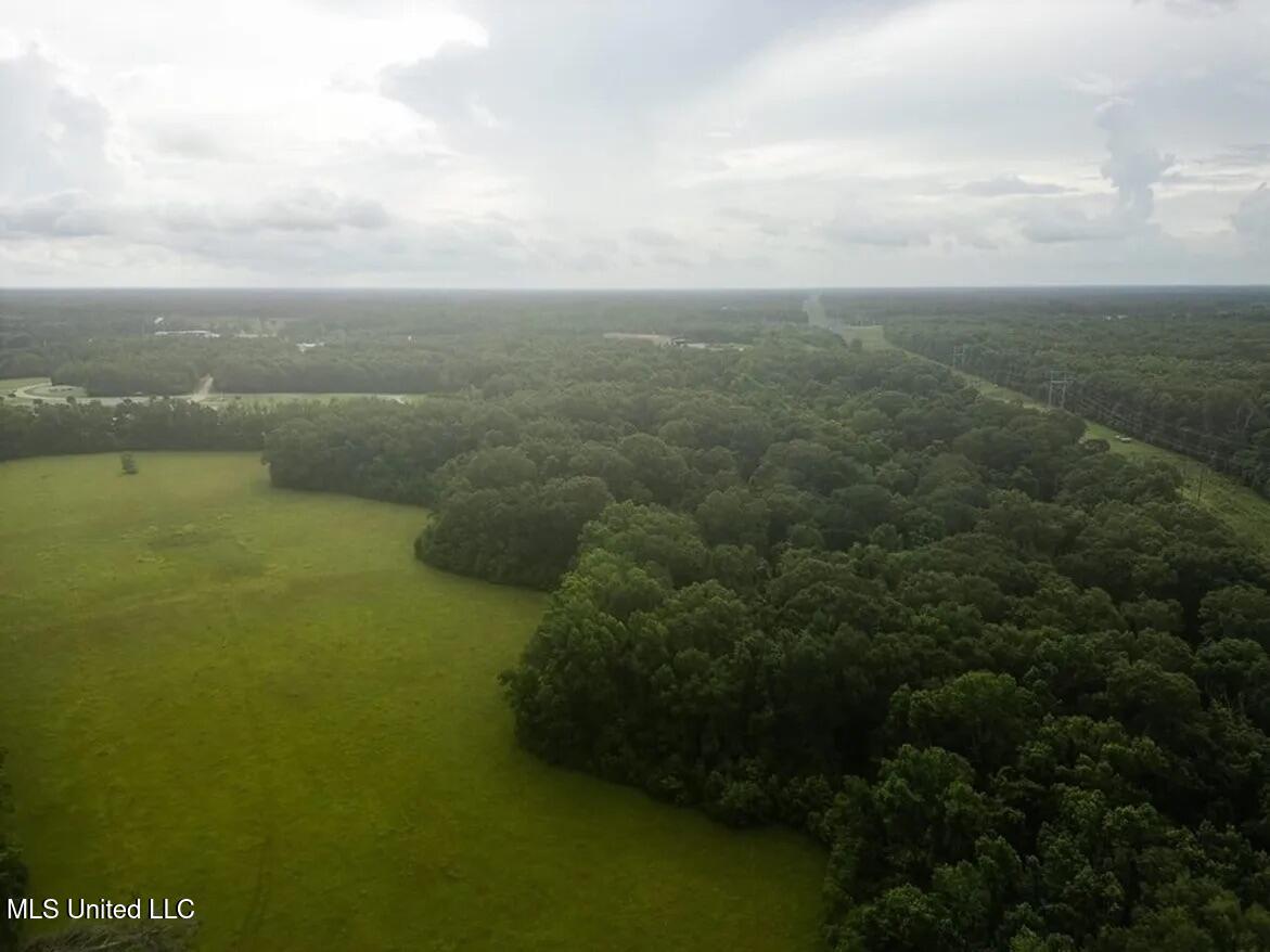 299 West Mt Pleasant Zachary Road Zachary, LA 70791 - Photo 18 of 33 1-5859662784