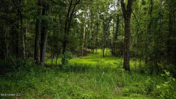 $1,550,000 | 299 West Mt Pleasant Zachary Road, Zachary, LA 70791