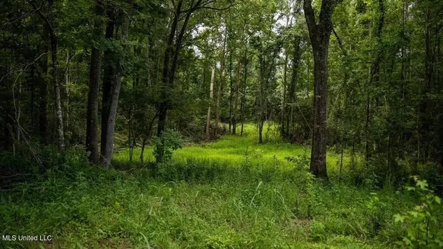 $1,550,000 | 299 West Mt Pleasant Zachary Road, Zachary, LA 70791