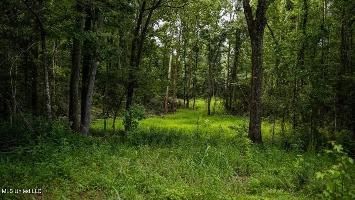 299 West Mt Pleasant Zachary Road Zachary, LA 70791 - Photo 19 of 33 1-5859662792