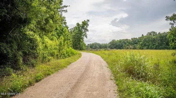 $1,550,000 | 299 West Mt Pleasant Zachary Road, Zachary, LA 70791