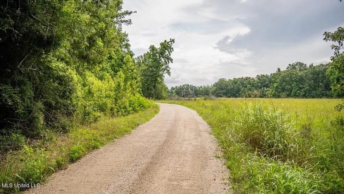 299 West Mt Pleasant Zachary Road Zachary, LA 70791 - Photo 20 of 33 1-5859662795